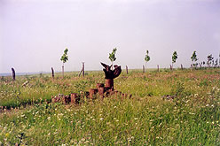 Geschlossene, rekultivierte Deponie in Hornburg