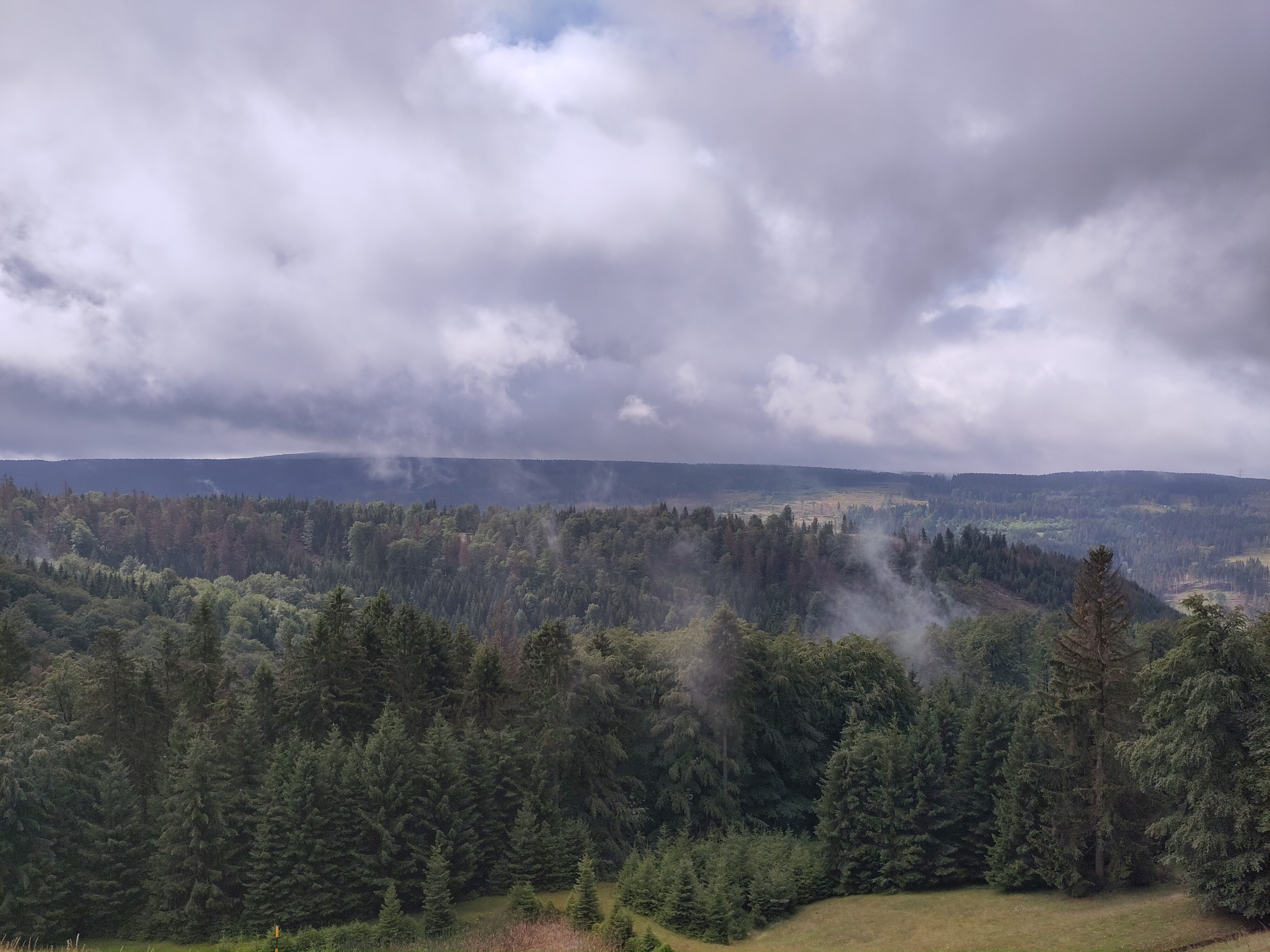 Ausblick vom Großen Farmdenkopf mit Nebelschwaden ©Rauch